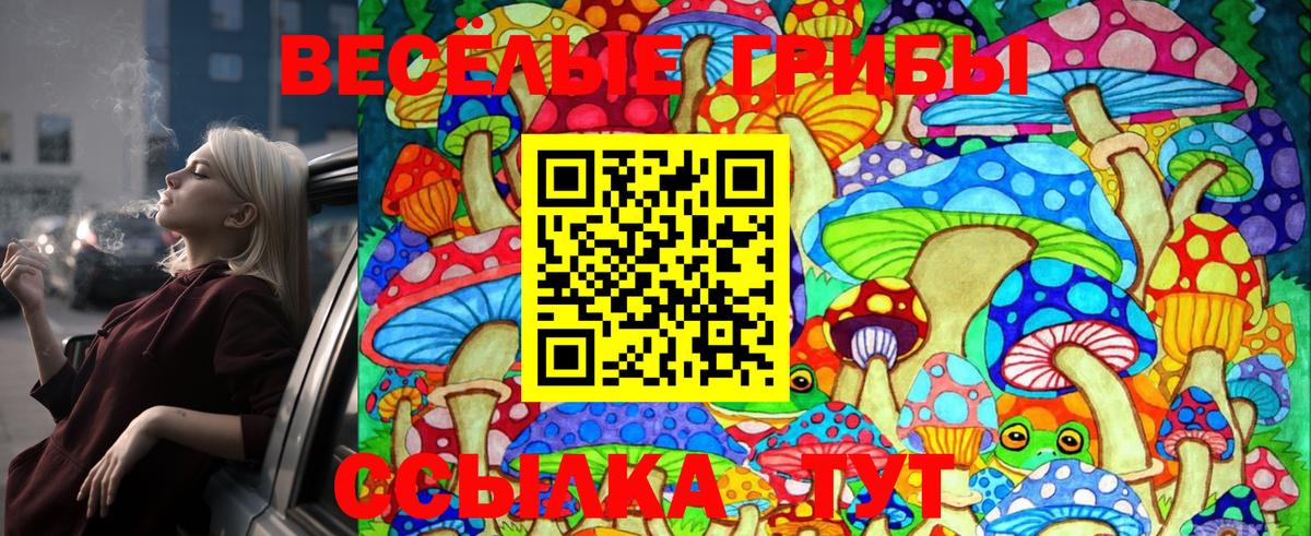 Псилоцибиновые грибы Magic Shrooms  Вход с VPN  Псилоцибиновые грибы MAGIC MUSHROOMS  Петропавловск-Камчатский 